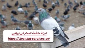 [صورة: %D8%B4%D8%B1%D9%83%D8%A9-%D9%85%D9%83%D8...00x168.jpg]