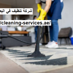 شركة تنظيف في البطين العين