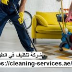 شركة تنظيف في الطوية العين