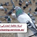 شركة مكافحة الحمام في ابوظبي