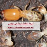 شركة مكافحة الرمة في ابوظبي