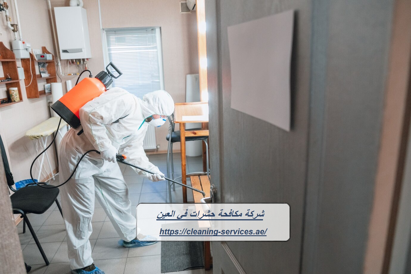 شركة مكافحة حشرات في العين